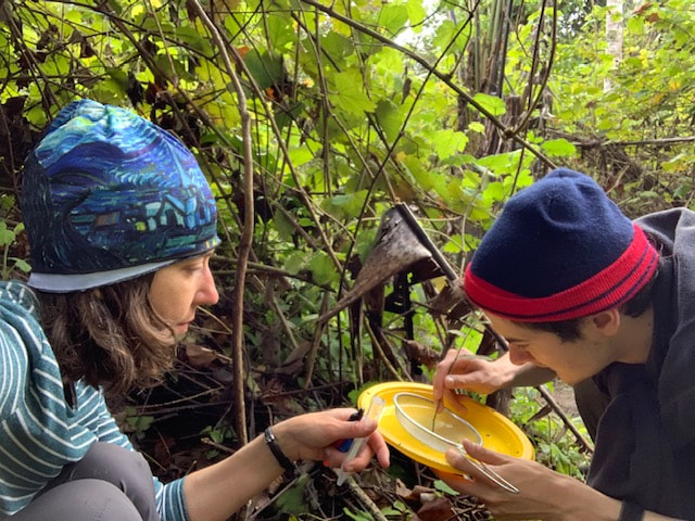 Two people observe colored plate in forest, one uses forceps to pick up small object on plate.