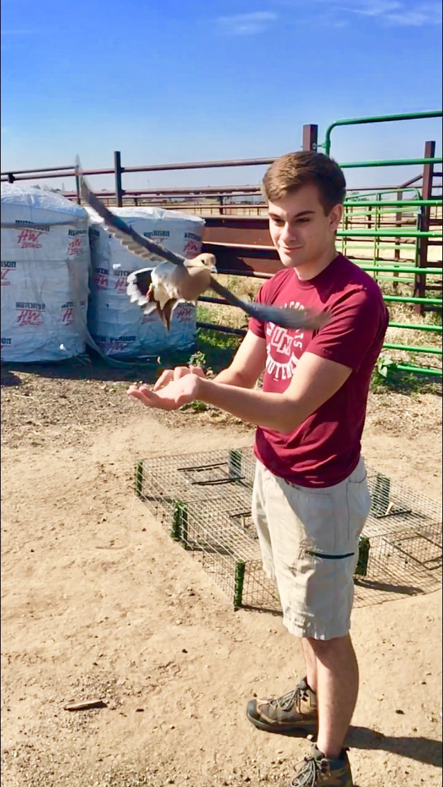 Photo of Eric Wuesthoff outdoors with a bird flying out of his hands.